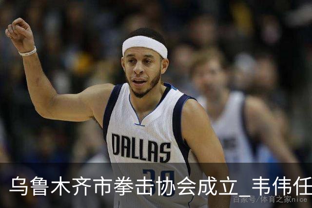 乌鲁木齐市拳击协会成立 韦伟任会长